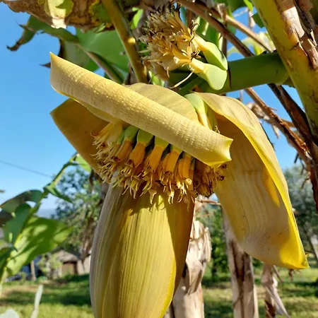 Casa Azul Vales Penalva do Castelo