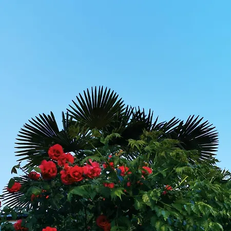 Casa Azul Vales * 佩纳尔瓦堡