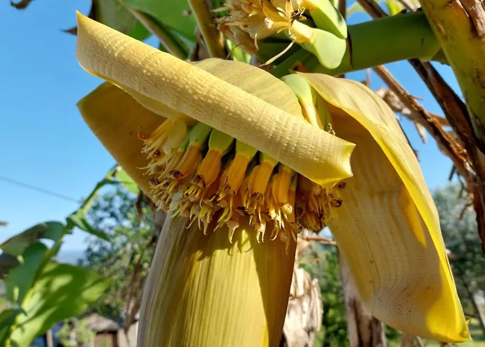 Casa Azul Vales Penalva do Castelo