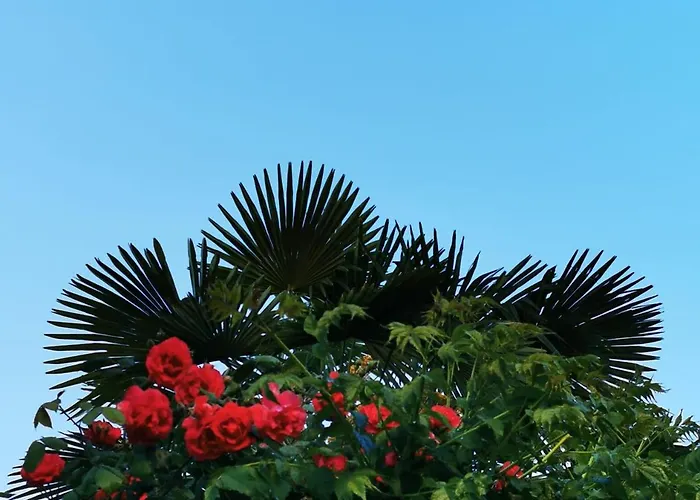 Casa Azul Vales * Penalva do Castelo