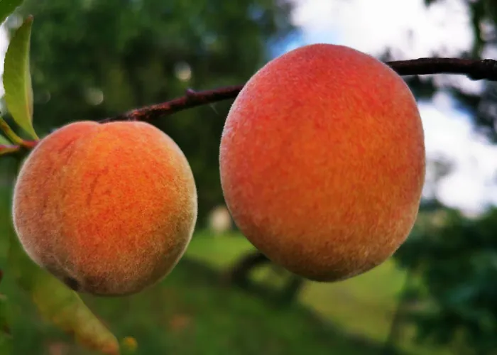 Casa Azul Vales Dom wakacyjny